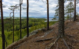 Kaivoslain uudistamisessa aikalisä