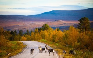 MaRan hallitusohjelmatavoite 4: Kilpailukyky on turvattava