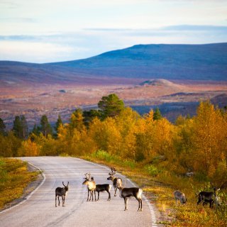 MaRan hallitusohjelmatavoite 4: Kilpailukyky on turvattava