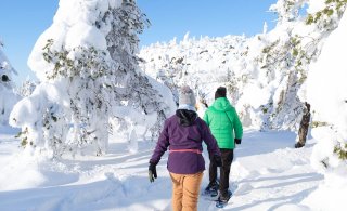 Matkailussa on saavutettu pandemiaa edeltänyt taso