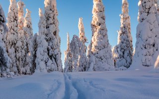 Kasvunäkymiä varjostaa huoli kysynnän hiipumisesta