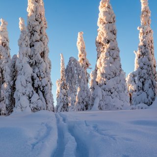 Kasvunäkymiä varjostaa huoli kysynnän hiipumisesta