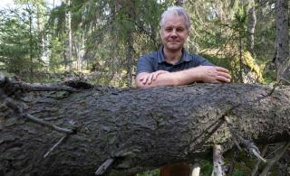 Puolessa tunnissa erämaahan