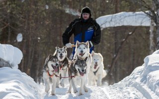 Ahdinko syvenee – Yritykset kertovat rajuista liikevaihdon pudotuksista